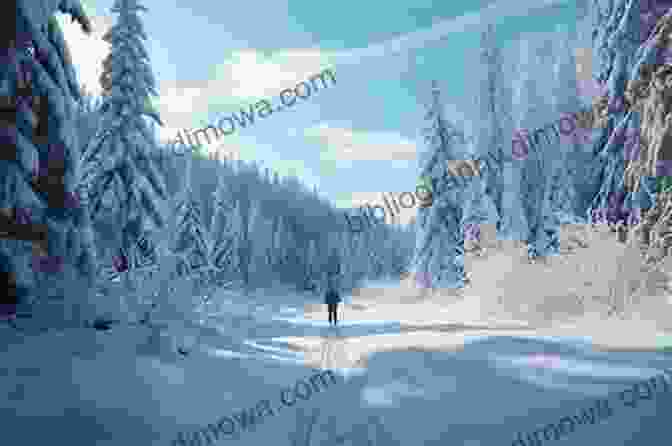 A Cross Country Skier Gliding Through A Snow Covered Forest, With Snow Laden Trees And Mountains In The Background Rocky Mountain National Park: From The Travel Photo Guides IPhone App