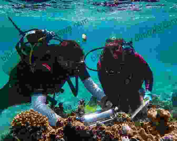 A Group Of Marine Biologists Conducting Research And Conservation Efforts Underwater A Place On The Water : An Angler S Reflections On Home