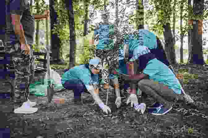 A Group Of Volunteers Planting Trees In A Forest, Creating A New Habitat For Native Bird Species. Why We Bird Kaitlin Coleman