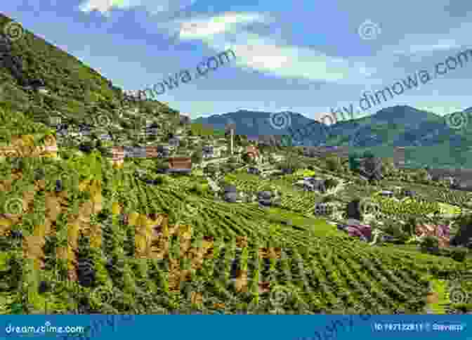 A Panoramic View Of The Rolling Hills And Vineyards Of The Veneto Countryside, With A Small Village Nestled In The Distance. The Rough Guide To Venice The Veneto (Travel Guide EBook)