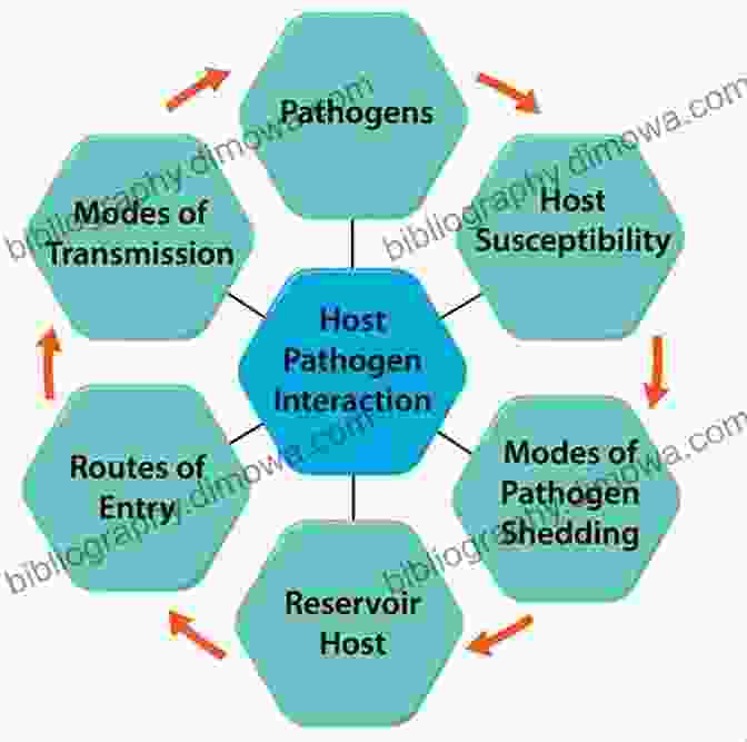 Infectious Diseases Mechanism COVID Transmission Modeling: An Insight Into Infectious Diseases Mechanism