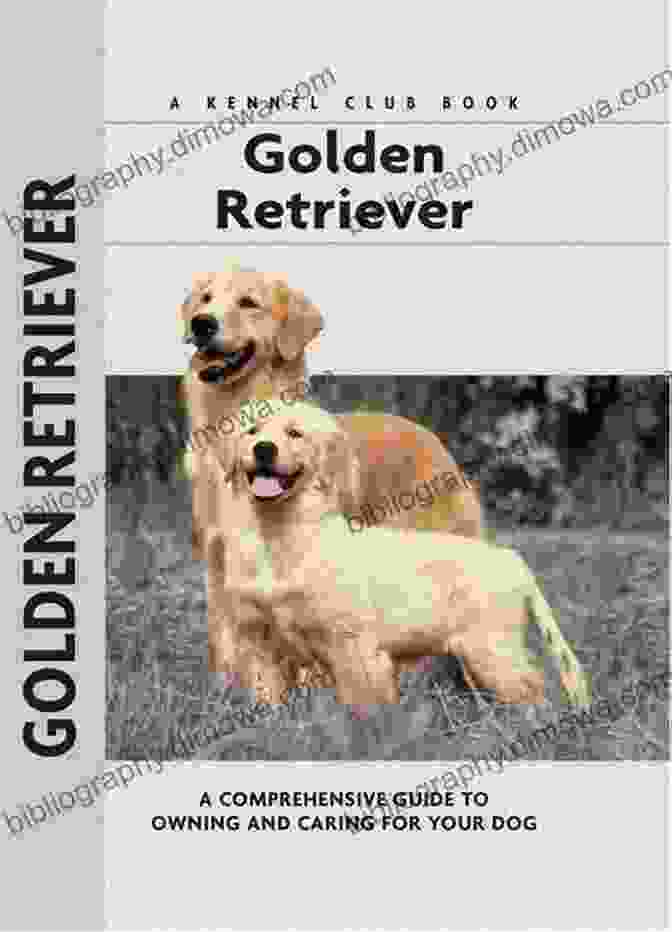 Told By Rocket: The Golden Retriever Book Cover Adventures In An RV A Dog S Tale: Told By Rocket The Golden Retriever