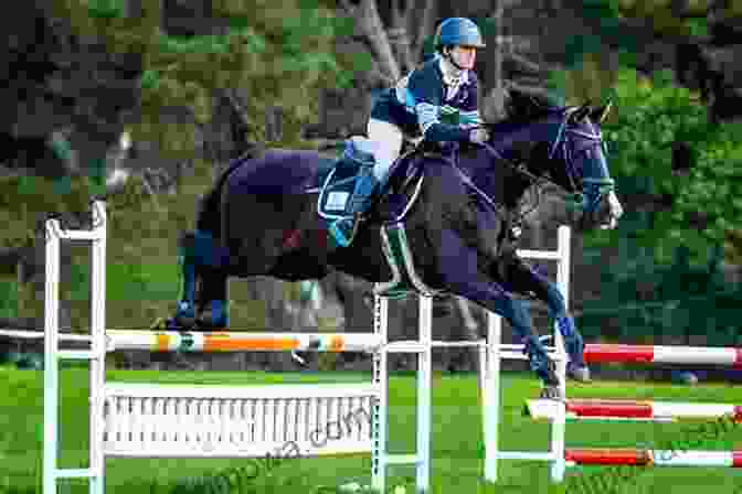 Victorious Show Jumper And Horse Celebrating Their Triumph Modern Show Jumping: Winning Strategies