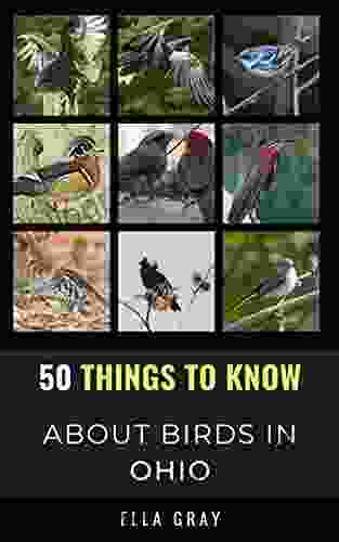 50 Things To Know About Birds In Ohio : Birding In The Buckeye State (50 Things To Know About Birds United States)