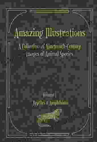 Amazing Illustrations: A Collection From Nineteenth Century Images Of Animal Species Copyright Free Illustrations