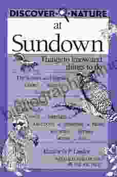 Discover Nature At Sundown (Discover Nature Series)