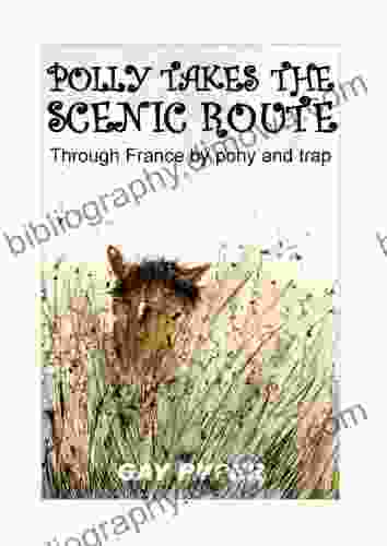 Polly Takes The Scenic Route: Through France By Pony And Trap