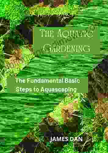 The Aquatic Gardening: The Fundamental Basic Steps To Aquascaping