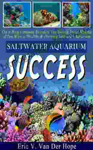 Saltwater Aquarium Success: The 5 Most Common Mistakes You Should Avoid Making If You Want A Healthy Thriving Saltwater Aquarium