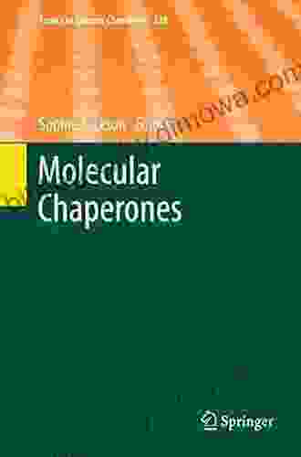 Molecular Chaperones (Topics In Current Chemistry 328)