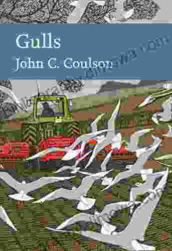 Gulls (Collins New Naturalist Library 139)